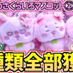 【ちいかわクレゲ】全部獲るまで終われない！ちいかわ最新プライズさくらいろマスコット②に挑戦！【クレーンゲーム】【ちいかわグッズ】【chiikawa】【UFOキャッチャー】【おはるのちい活vlog】
