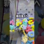 【エール】恐れ入りますがフォローお願いします❣️ #クレーンゲーム #ゲームセンター #ゲーセン #cranegame #ufoキャッチャー #ガチャガチャ #ゴールデンウィーク #社会人 #vlog