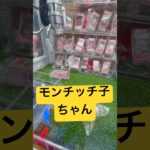 箱入り娘🐒#クレーンゲーム#モンチッチ#ゲーセン#gameplay#ufoキャッチャー#youtubeshorts#ゲーム#game#確率機#ゲームセンター#景品#youtube