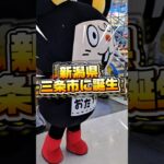 【クレーンゲーム】新潟三条市に新オープンのゲーセン調査してきた！【iクレーン三条店 ufoキャッチャー】 #クレーンゲーム #ufoキャッチャー