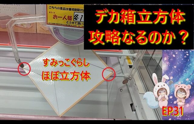 【クレーンゲーム】攻略不能！？デカ箱立方体に大苦戦…突破口はあの技術でした。すみっコぐらし最新景品に挑戦！ in ベネクス川越【ももくま #31】 #橋渡し設定 #クレーンゲーム #ベネクス