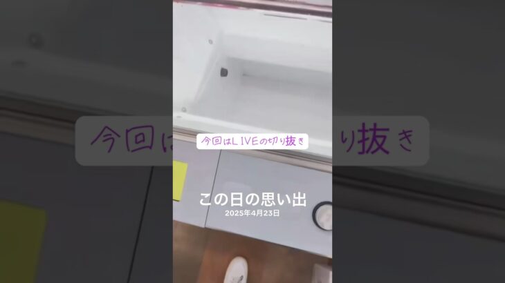 クレーンゲーム獲得いliveアーカイブ #クレーンゲーム #プライズ獲得 #ゲームセンター #ufoキャッチャー #マンガ倉庫 #倉庫系 #ドラゴンボール