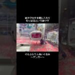 【新ワザも駆使】しぶといゲンガーとの闘い　#ポケットモンスター #ポケモン #pokemon #ぬいぐるみ #クレーンゲーム