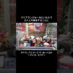 【クリアランスセール】ダイゴとキバナを救出せよ！　#ポケットモンスター #ポケモン #pokemon #ぬいぐるみ #クレーンゲーム