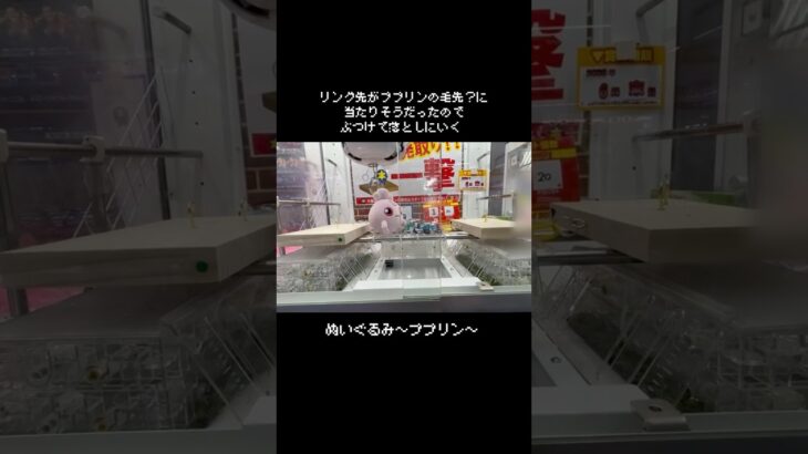 【ダイレクトアタック】ププリンをフック設定でチャレンジしたら〇〇〇が取れた！？　#ポケットモンスター #ポケモン #pokemon #ぬいぐるみ #クレーンゲーム