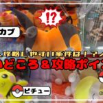 【良設定の条件】ポカブ・ワンパチ・ピチューは設定によって攻略方法を変えよう！！　#ポケットモンスター #ポケモン #pokemon #ぬいぐるみ #クレーンゲーム