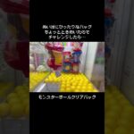 【バグ？】ときめくアイテムにチャレンジしたら想定外の結果に！～クリアバッグ～　#ポケットモンスター #ポケモン #pokemon #ぬいぐるみ #クレーンゲーム