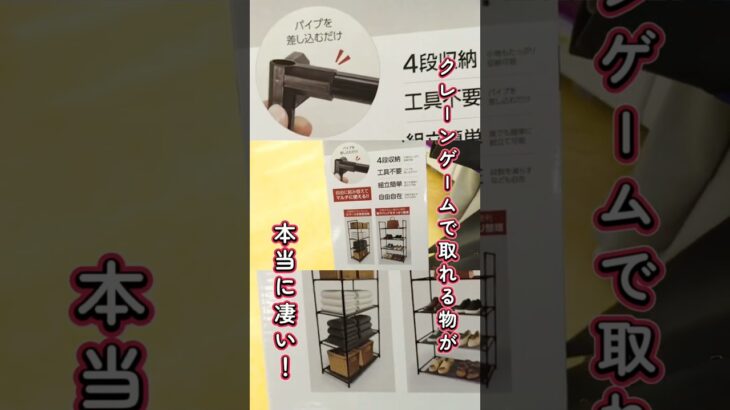 橋渡し設定の取れるコツ🔥【クレーンゲーム】#shorts