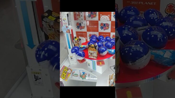 サープラ横浜あそびタウン店でカルピスとカッパえびせんの景品をゲット #shorts