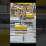 万代書店岩槻店でビアードパパとチョコあ〜んぱんの景品をゲット #shorts