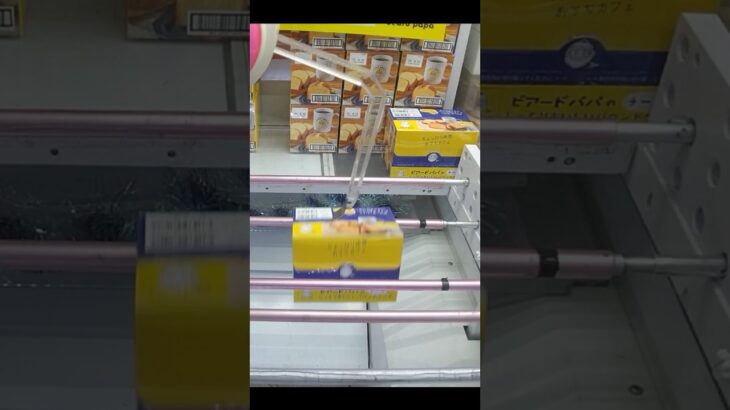 万代書店岩槻店でビアードパパとチョコあ〜んぱんの景品をゲット #shorts