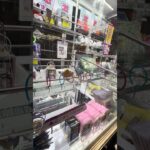 ちーん #ゲーセン shorts  #cranegame  #フック #夾娃娃機 #ゲームセンター ＃ゲーセン＃倉庫系 #クレーンゲーム #ゲッタースピン