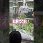 取れるかな！？#shorts #クレーンゲーム #ufoキャッチャー