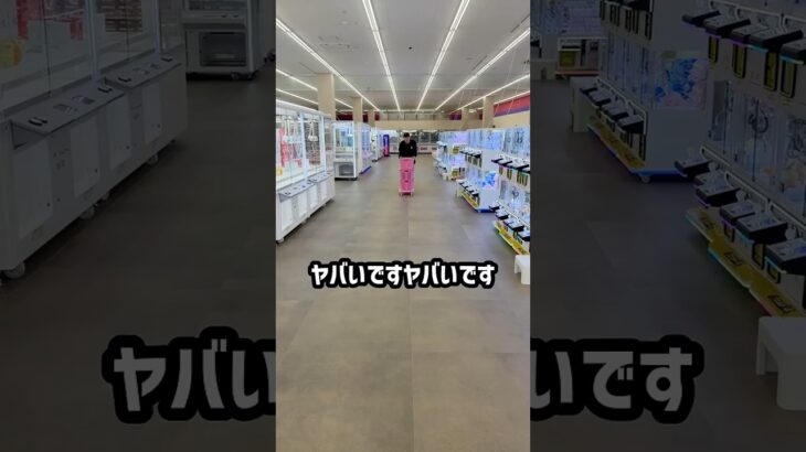 プロが石川のゲーセンでカートパンパンするにいくらかかるのか挑戦してみたら、、、 #shorts #クレーンゲーム #ufoキャッチャー # ゲーセン #ゲームセンター #arcade