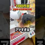 日本一お客さんが多いゲーセンでカートパンパンにするのに一体いくらかかるのか、、、 #shorts #クレーンゲーム #ufoキャッチャー # ゲーセン #ゲームセンター #arcade