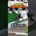 この後めっちゃ褒められました #shorts #クレーンゲーム #ufoキャッチャー # ゲーセン #ゲームセンター #arcade #clawmachine