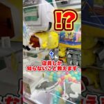 店員『誰にも言うな🤬』 #shorts #クレーンゲーム #ufoキャッチャー # ゲーセン #ゲームセンター #arcade #clawmachine