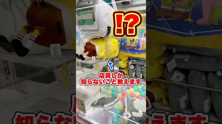 店員『誰にも言うな🤬』 #shorts #クレーンゲーム #ufoキャッチャー # ゲーセン #ゲームセンター #arcade #clawmachine