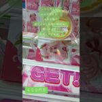 《クレーンゲーム》橋渡し、ぬースト　桜ミク攻略 #クレーンゲーム #プライズ獲得 #ufoキャッチャー #ゲームセンター #橋渡し設定