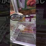クレーンゲーム初心者向け♟️                    #クレーンゲーム #ゲームセンター #面白集 #ufoキャッチャー #すごい #攻略