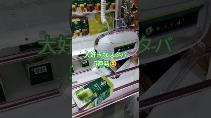 スタバ何が好き？🥰 #クレーンゲーム攻略 #ゲームセンター #ufoキャッチャー #ミニクレーンゲーム #スタバ