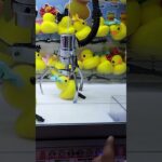 ひよこ🐥頭につけたい😍 #クレーンゲーム攻略 #ゲームセンター #クレーンゲーム #アミューズメント限定 #クレーンゲーム景品 #ufoキャッチャー #ゲーセン