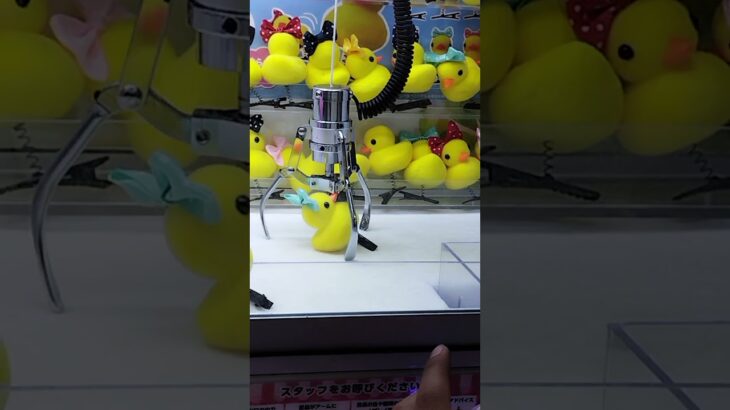 ひよこ🐥頭につけたい😍 #クレーンゲーム攻略 #ゲームセンター #クレーンゲーム #アミューズメント限定 #クレーンゲーム景品 #ufoキャッチャー #ゲーセン