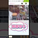 クレマス実況　攻略法‼️　　　　　 #クレーンゲーム #攻略法 #ufoキャッチャー #ゲームセンター #トレバ#無料 #ゲーム #ゲーセン #ガチャガチャ #アミューズメント限定