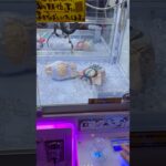 【ゲーセン】ラブブ発見！#クレーンゲーム #クレーンゲーム動画 #ufoキャッチャー #ラブブ