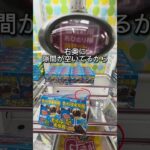 こんだけ取れればいいでしょ？？ #クレーンゲーム #ゲームセンター #ufoキャッチャー #ゲーセン