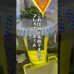 #クレーンゲーム #クレゲ #ゲームセンター #ゲーセン #プライズ獲得 #ufoキャッチャー #倉庫系