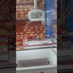 ちび勝ソースって名前らしい…初めて知った！#クレーンゲーム #プライズ獲得 #ゲームセンター #ゲーセン #ufoキャッチャー #アミパラ #佐世保 #大塔 #末広がり #橋渡し攻略