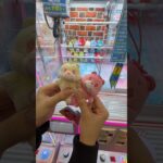 子供が欲しがる人気景品を狙ってみたら… #クレーンゲーム #ufoキャッチャー #ぬいぐるみ #ゲームセンター