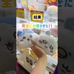 【ベネクス浦和店】ちいかわ景品のやりかけは激アツ疑惑の検証！！#ちいかわ #ハチワレ #うさぎ #ufoキャッチャー #クレーンゲーム #ゲームセンター #確率機 #ベネクス #検証