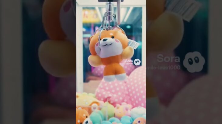 かわいいぬいほしいな〜😍 #クレーンゲーム攻略 #クレーンゲーム景品 #ゲームセンター #クレーンゲーム #ufoキャッチャー #ゲーセン #ミニクレーンゲーム