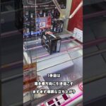 【鑑定団】常連さんスーパープレイ　#もってきーな #クレーンゲーム #ufoキャッチャー #ゲームセンター #クレーンゲームマスター