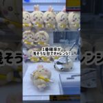 【ベネクス浦和店】ちいかわ最新景品をたくさん取って平均価格は安くなるのか検証！#クレーンゲーム #ゲームセンター #ufoキャッチャー #ベネクス #うさぎ #ハチワレ #ちいかわ #確率機