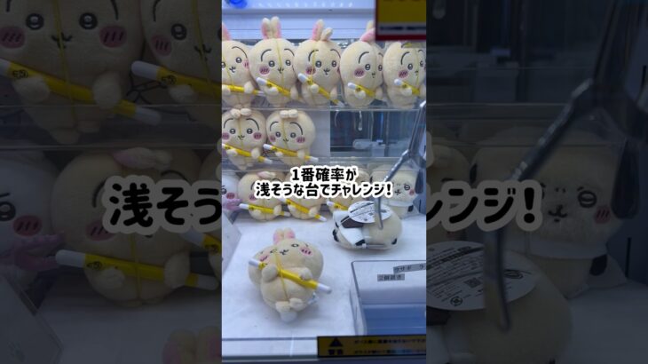 【ベネクス浦和店】ちいかわ最新景品をたくさん取って平均価格は安くなるのか検証！#クレーンゲーム #ゲームセンター #ufoキャッチャー #ベネクス #うさぎ #ハチワレ #ちいかわ #確率機