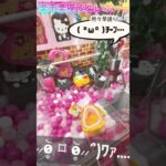 #ゲームセンター #ゲーセン #プライズ獲得 #クレーンゲーム #アミューズメント #獲得 #クレゲ #ufoキャッチャー #確率機 #確率#ぬい#ポーチ #ウサハナ#サンリオ