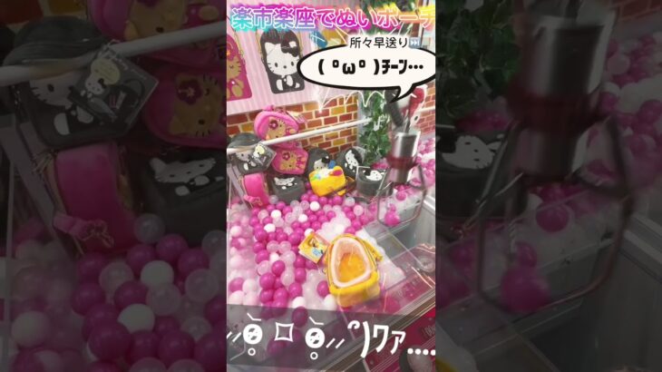 #ゲームセンター #ゲーセン #プライズ獲得 #クレーンゲーム #アミューズメント #獲得 #クレゲ #ufoキャッチャー #確率機 #確率#ぬい#ポーチ #ウサハナ#サンリオ