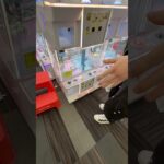 人気景品で争いが起きました… #クレーンゲーム #ufoキャッチャー #トミカ #ゲームセンター
