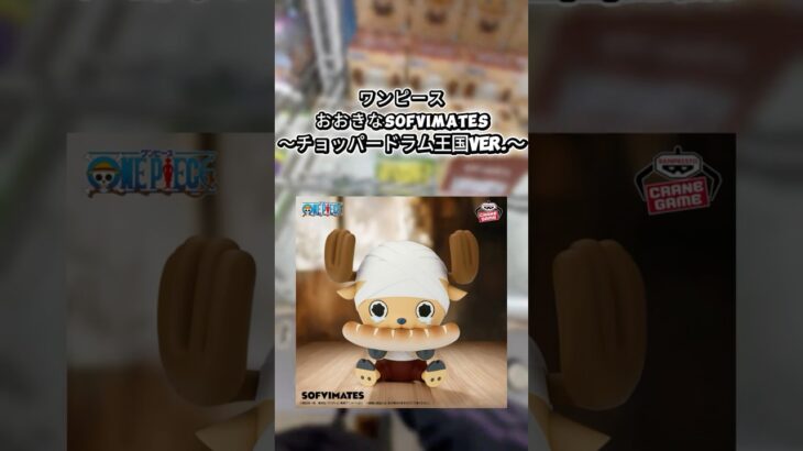 #クレーンゲーム #クレゲ #プライズ獲得 #ゲームセンター #ゲーセン #ufoキャッチャー #ワンピース #チョッパー #倉庫系