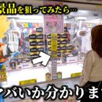 【クレーンゲーム】話題の景品を狙ったら絶対にやってはイケない形を見つけてしまいました…【ufoキャッチャー】