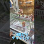 ２個取りチャレンジ💪 #クレーンゲーム #ゲームセンター #ufoキャッチャー