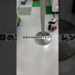 久しぶりに景品取れたかも #クレーンゲーム #プライズ獲得 #ufoキャッチャー