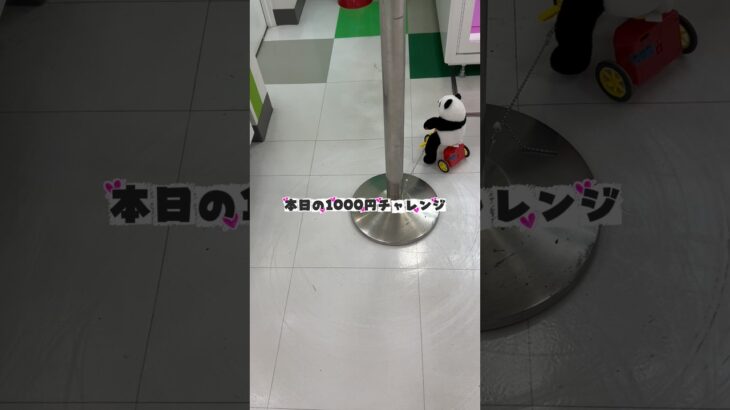 久しぶりに景品取れたかも #クレーンゲーム #プライズ獲得 #ufoキャッチャー