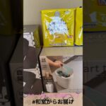 【📍王の洞窟岐南本店】#ufoキャッチャー #クレーンゲーム景品 #クレーンゲーム動画 #クレーンゲーム#GET品#クレーンゲーム攻略#夾娃娃店#和室からお届け#王の洞窟