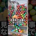 この後彼女ができました #ufoキャッチャー #ゲーセン #ゲームセンター #arcade #clawmachin