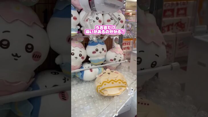 【ちいかわ】うさぎだけ…◯い！ #クレーンゲーム #ufoキャッチャー #cranegame #ゲームセンター #攻略 #ちいかわ #chiikawa #clawmachine #anime #fyp