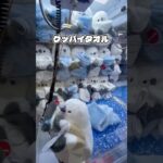 【ハプニング】寄せるイメージ！フォローもお願いします！ #クレーンゲーム #ufoキャッチャー #ゲームセンター #cranegame #clawmachine #攻略#happening #クレゲ